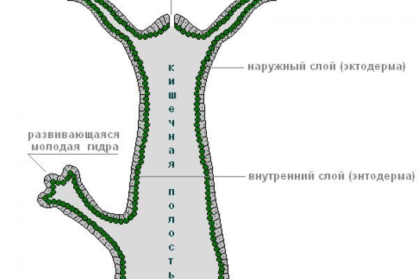 Кракен даркнет плейс