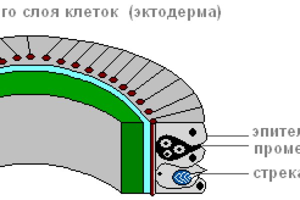 Кракен зеркало рабочее на сегодня