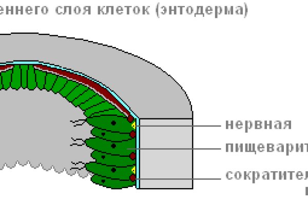 Вход кракен